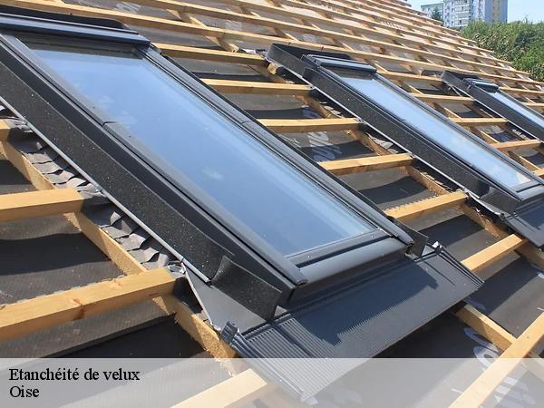 Etanchéité de velux Oise 