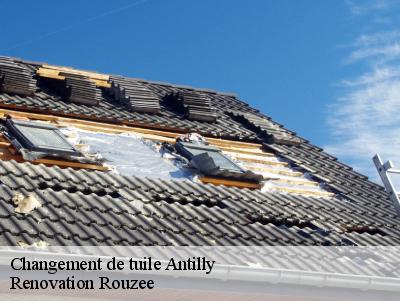 Changement de tuile  antilly-60620 Renovation Rouzee