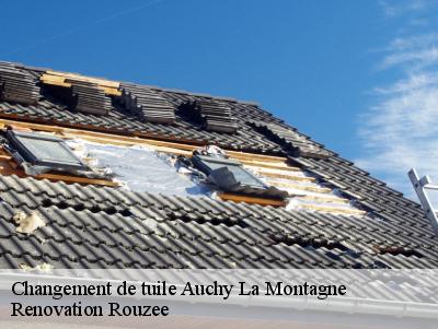 Changement de tuile  auchy-la-montagne-60360 Renovation Rouzee