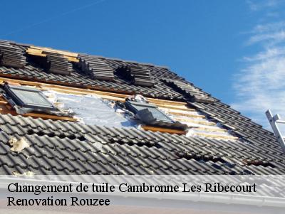 Changement de tuile  cambronne-les-ribecourt-60170 Renovation Rouzee