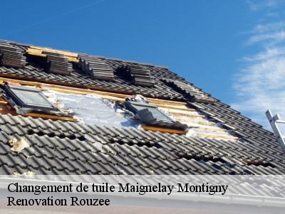 Changement de tuile  maignelay-montigny-60420 Renovation Rouzee