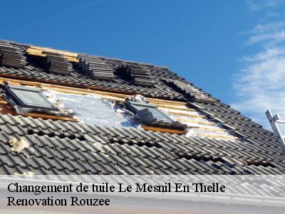 Changement de tuile  le-mesnil-en-thelle-60530 Renovation Rouzee