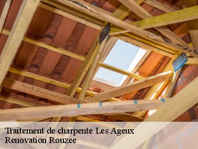 Traitement de charpente  les-ageux-60700 Renovation Rouzee