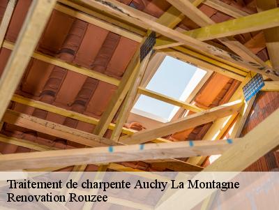 Traitement de charpente  auchy-la-montagne-60360 Renovation Rouzee