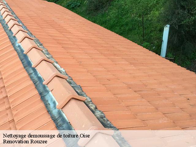 Nettoyage demoussage de toiture 60 Oise  Renovation Rouzee