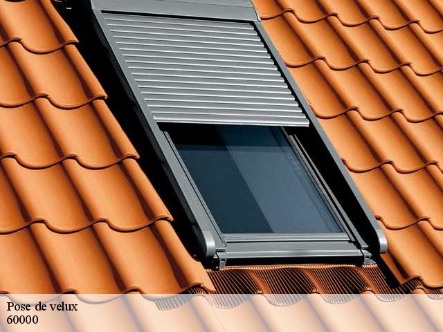 Pose de velux  60000