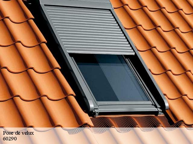 Pose de velux  60290