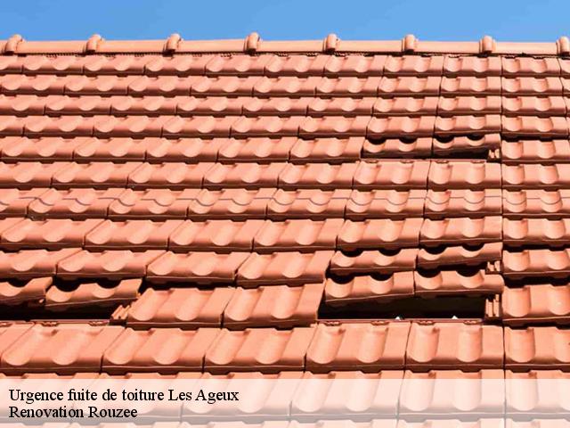 Urgence fuite de toiture  les-ageux-60700 Renovation Rouzee