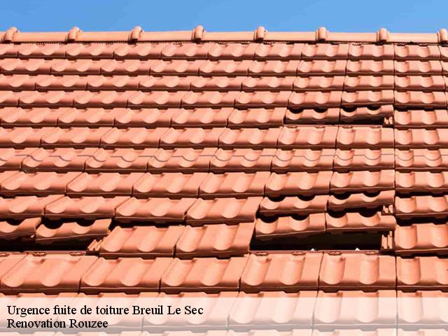 Urgence fuite de toiture  breuil-le-sec-60600 Renovation Rouzee